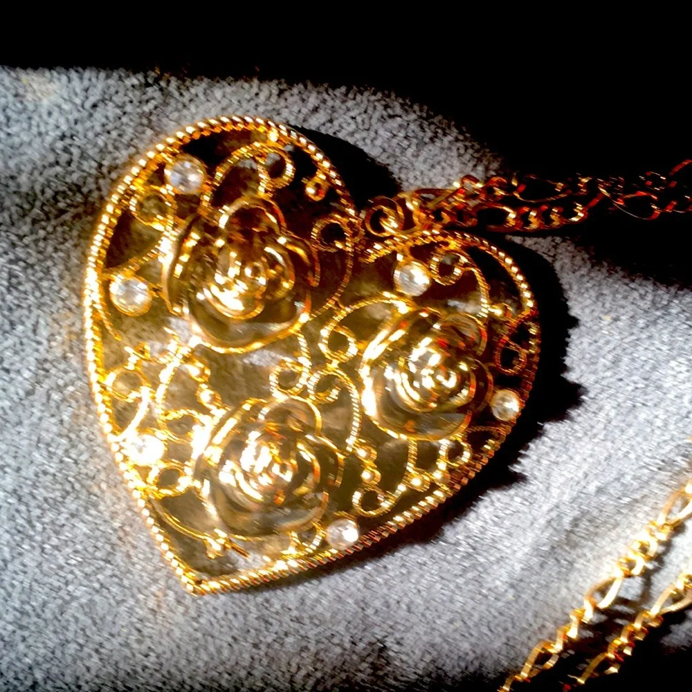 *NOT REAL GOLD OR SILVER* Golden Heart Rose Necklace With Silver Dots - Picture 1 of 3